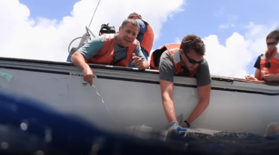 Screen Shot 2017-11-06 at 7.25.56 AM